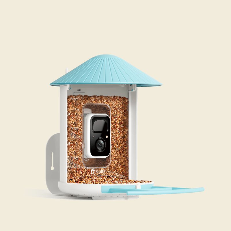NETVUE by Birdfy Smart Bird Feeder 2K Solar