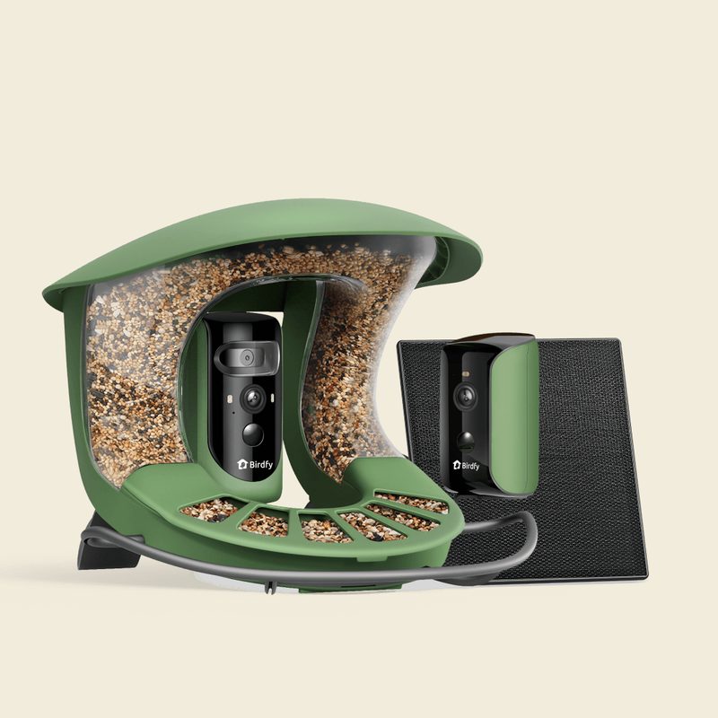 Birdfy Feeder 2 Duo Triple-Lens Smart Bird Feeder
