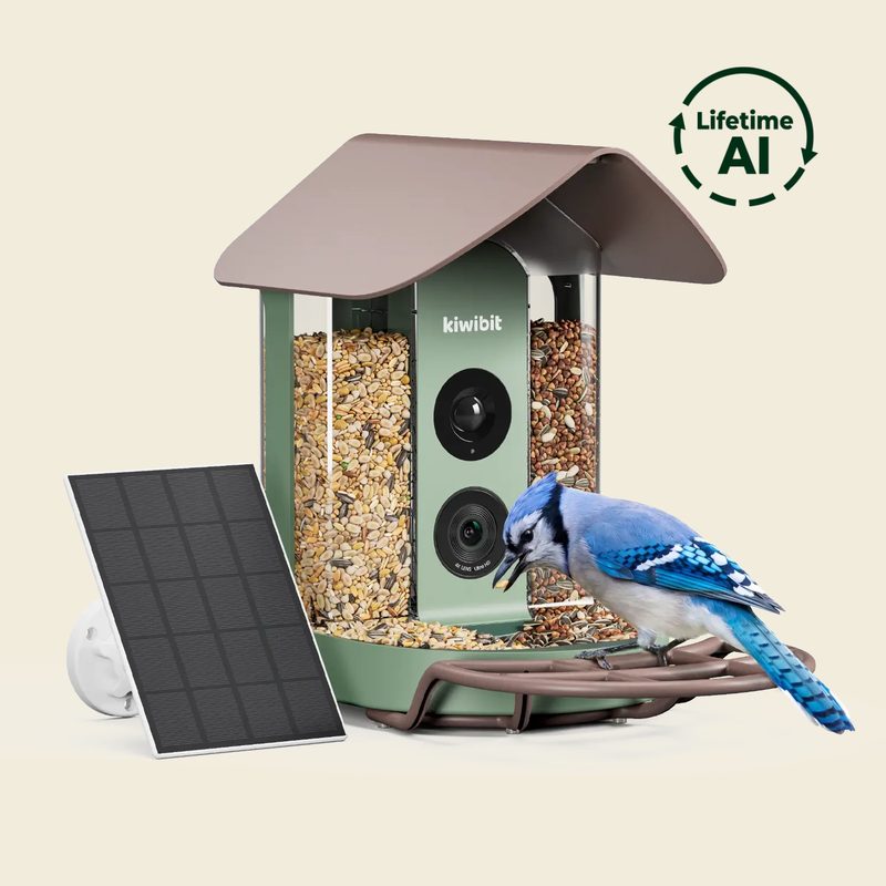 Smart Bird Feeders — top-scored model