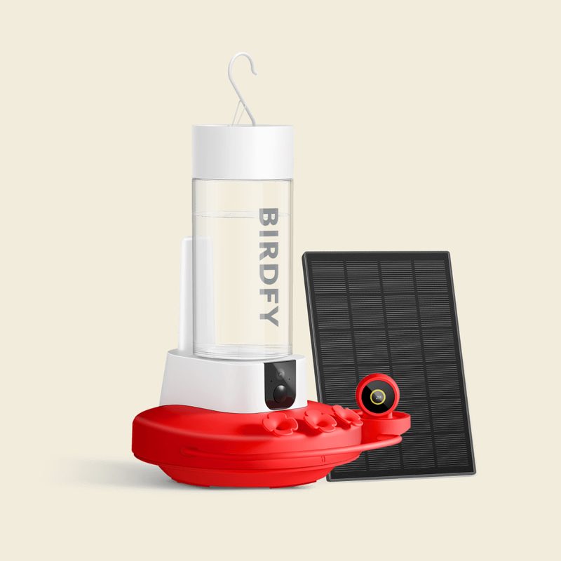 Birdfy Hum Feeder Duo Dual-Cam Hummingbird Feeder